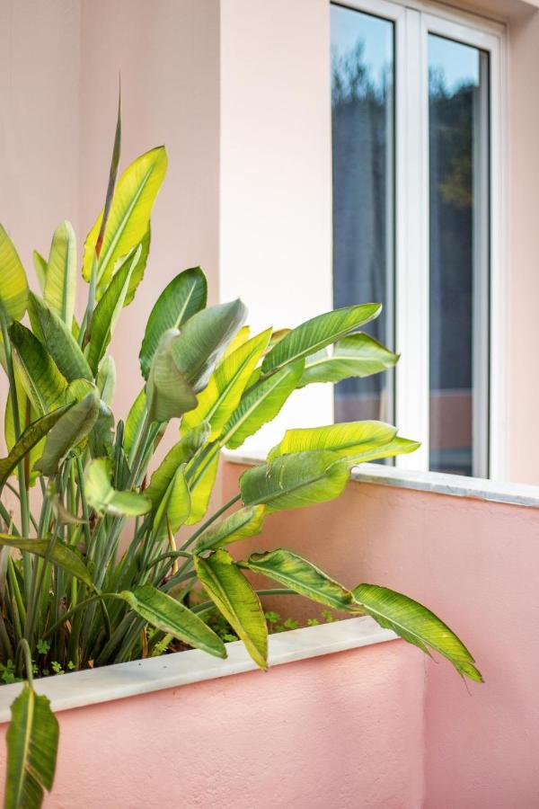 Bali  Aphrodite Studios & Apartment מראה חיצוני תמונה