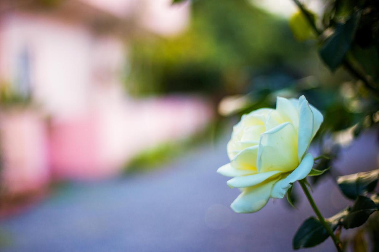 Bali  Aphrodite Studios & Apartment מראה חיצוני תמונה