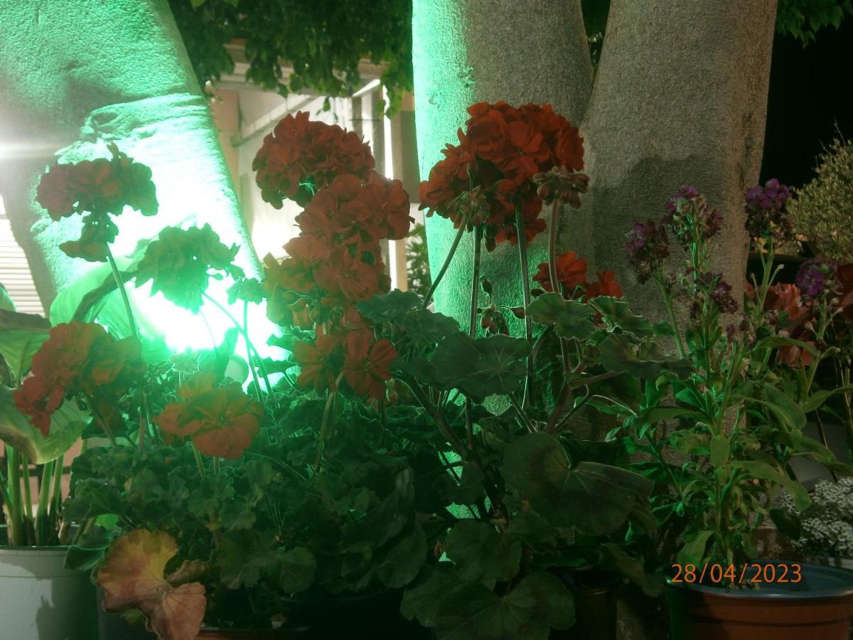 Bali  Aphrodite Studios & Apartment מראה חיצוני תמונה